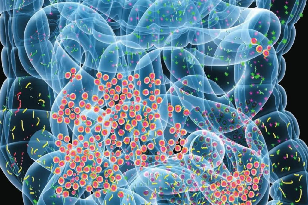 Microorganismos genética 6